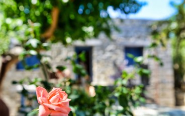 enalia_suites_ikaria_greece_027